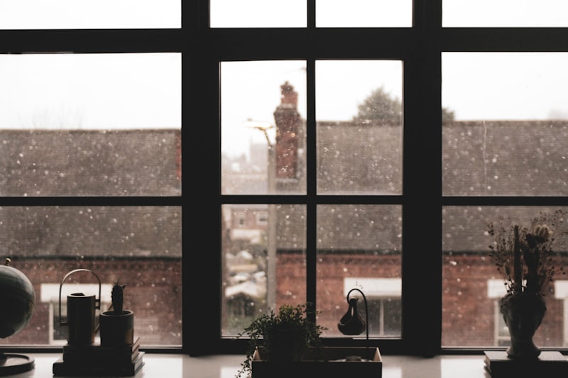 A windowsill with plants and a globe, snow falling past the panes onto rooftops outside.