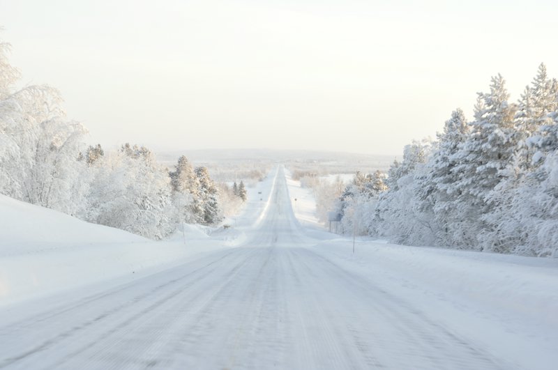 A snow-covered highway runs straight to the horizon between hills of frosted pine trees under a pale winter sky.