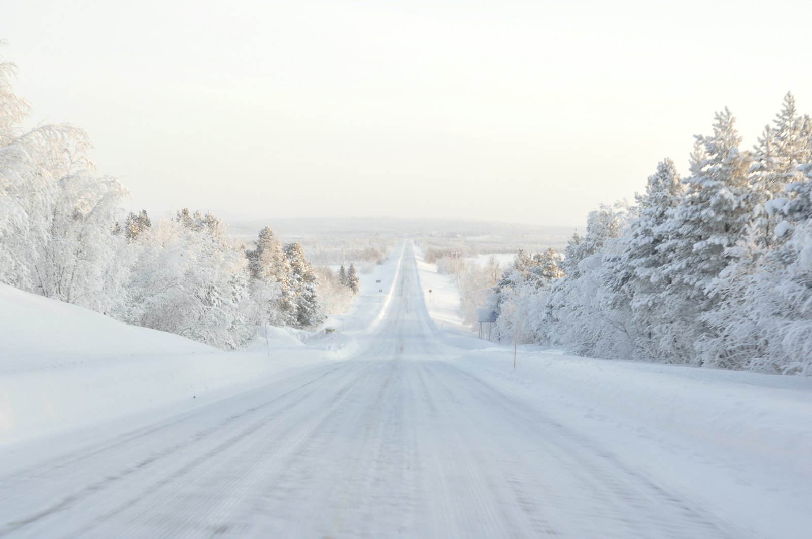 A snow-covered highway runs straight to the horizon between hills of frosted pine trees under a pale winter sky.